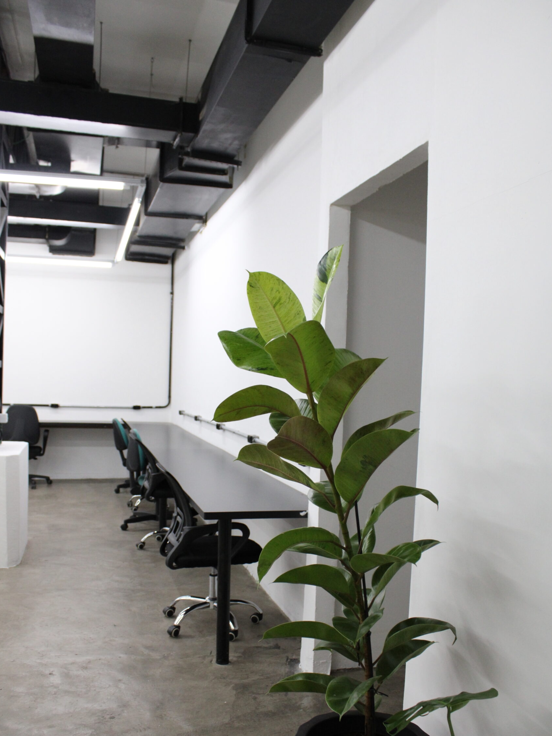Área de trabalho em estilo industrial no Orange Coworking com paredes brancas, dutos pretos aparentes no teto, bancada contínua e planta ornamental.